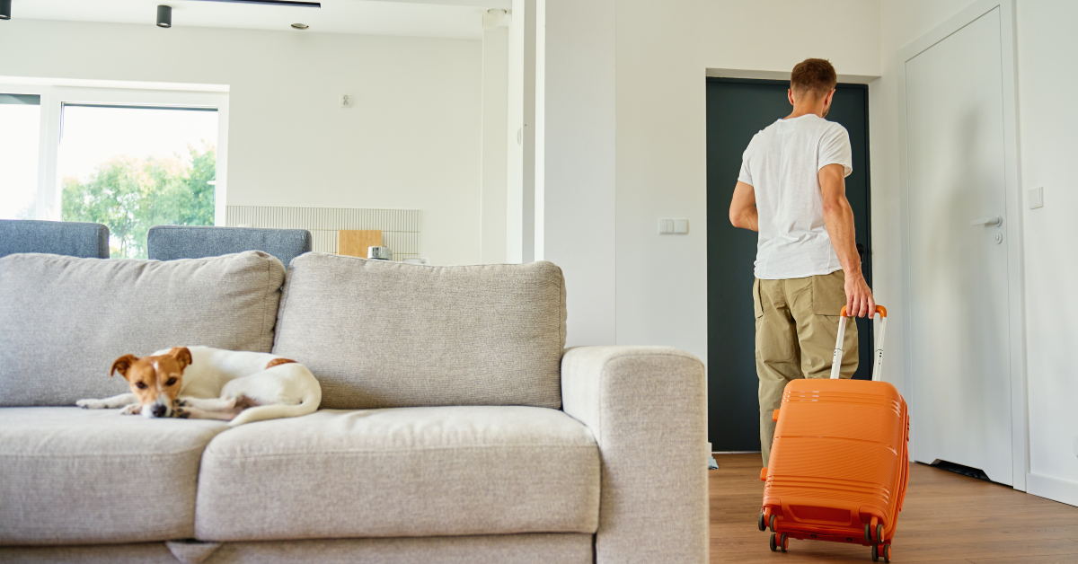 abandono de lar divórcio advogada separação